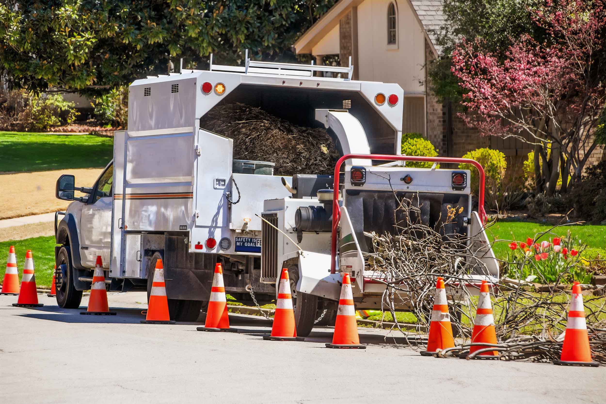 Chipper truck with attached wood chipper grinding up branches in nice neighborhood with safety cones