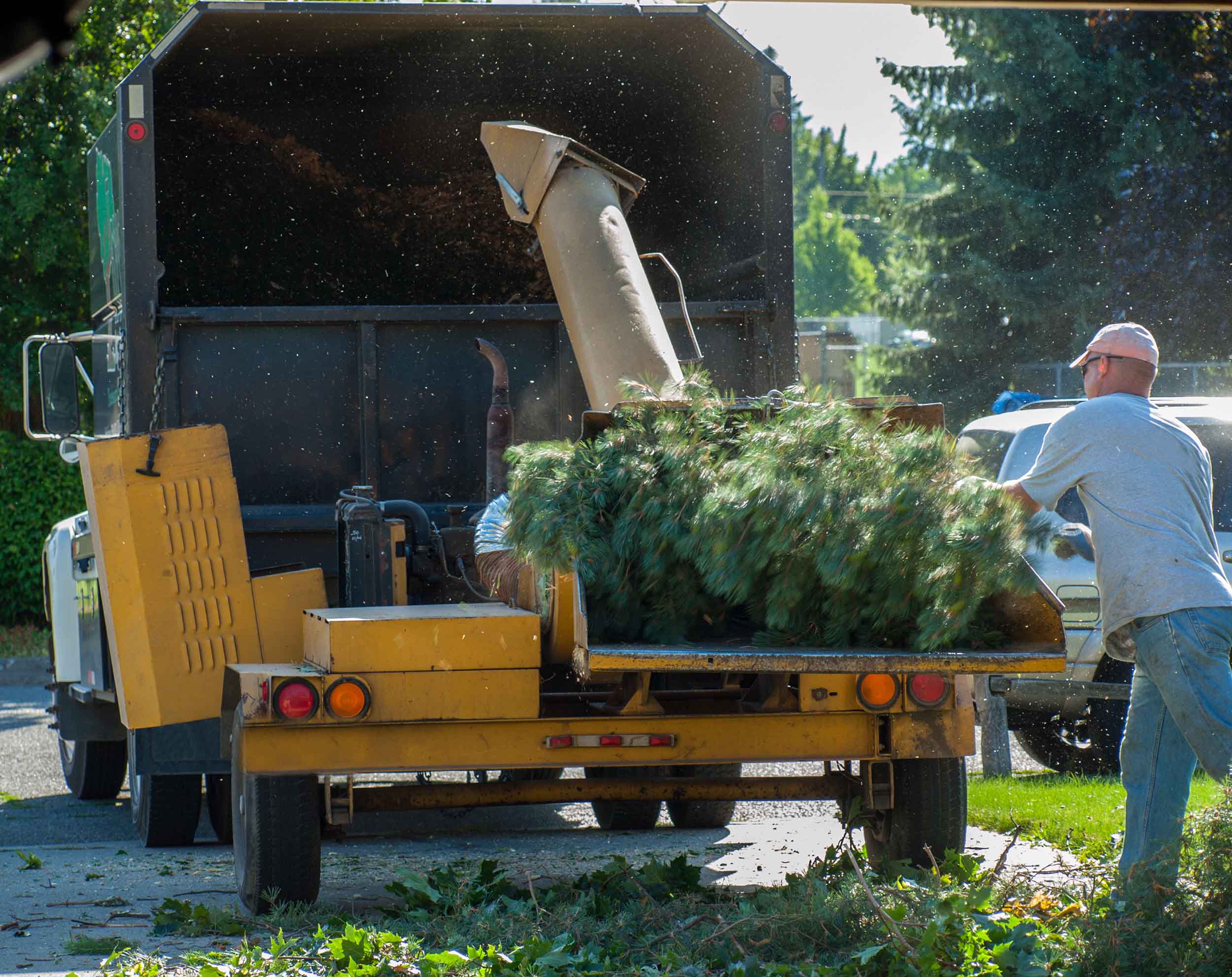 Wood Chipper Shredding a Tree into a Truck